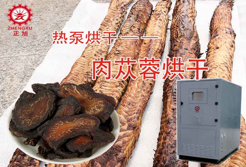 正旭肉蓯蓉熱泵烘干工藝（烘干溫度、時間）