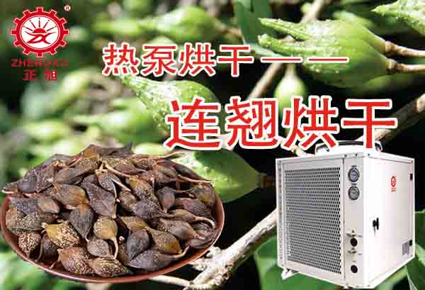 一噸連翹熱泵烘干需要多少錢？「熱泵烘干廠家」為你解答